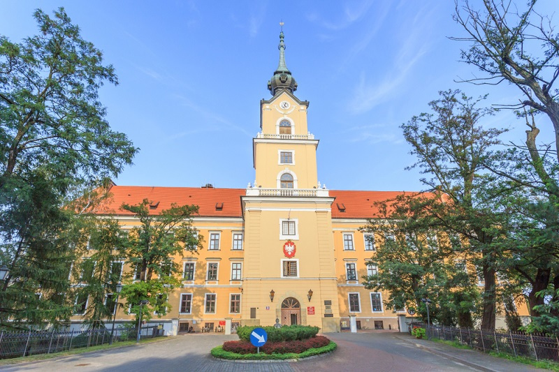 Zamek Lubomirskich w Rzeszowie - brama